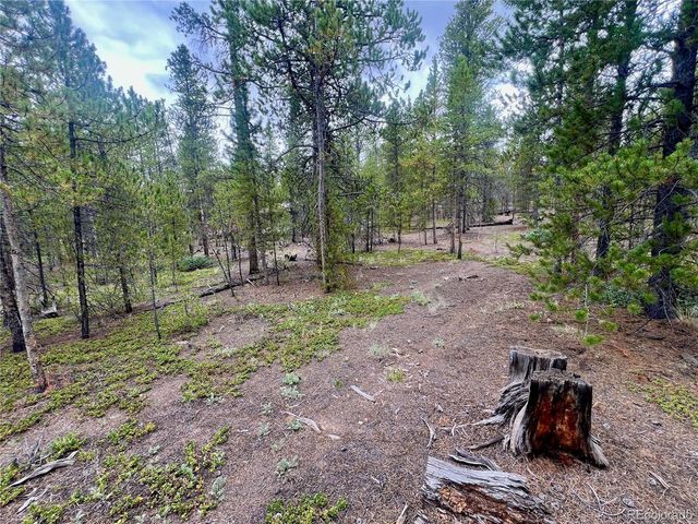 284 Fir Dr, Twin Lakes, CO 80461