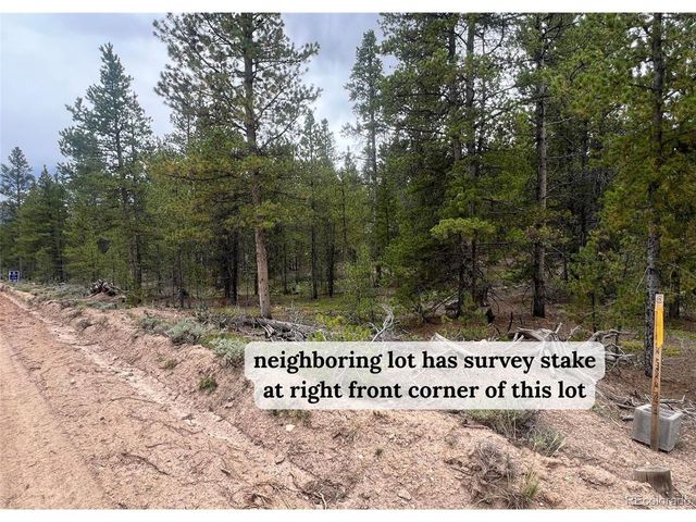 284 Fir Dr, Twin Lakes, CO 80461