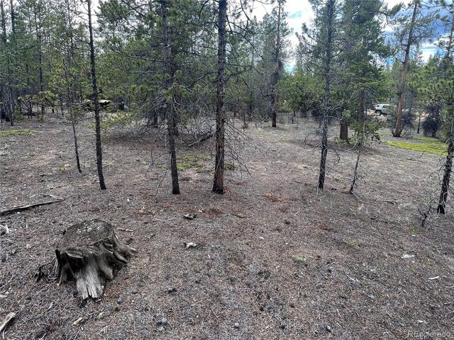 284 Fir Dr, Twin Lakes, CO 80461