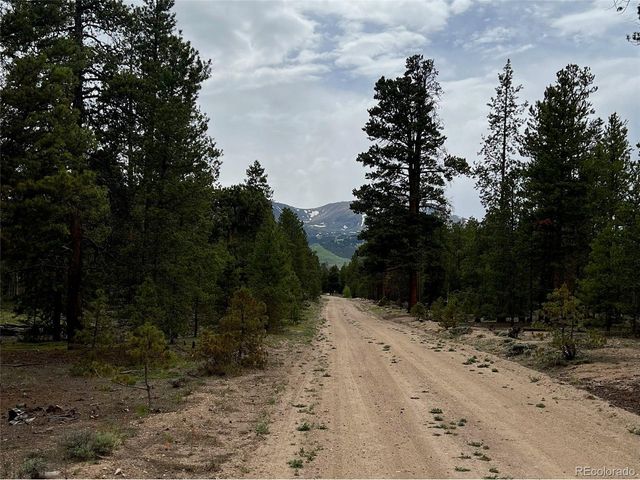 284 Fir Dr, Twin Lakes, CO 80461
