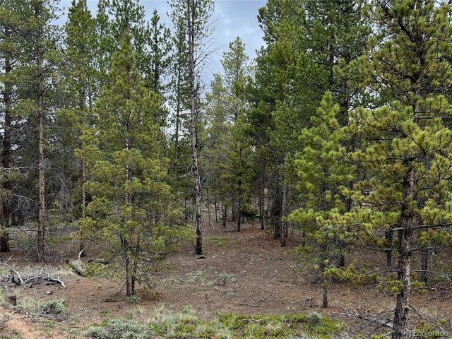 284 Fir Dr, Twin Lakes, CO 80461