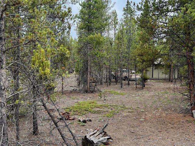 284 Fir Dr, Twin Lakes, CO 80461