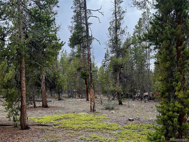 284 Fir Dr, Twin Lakes, CO 80461