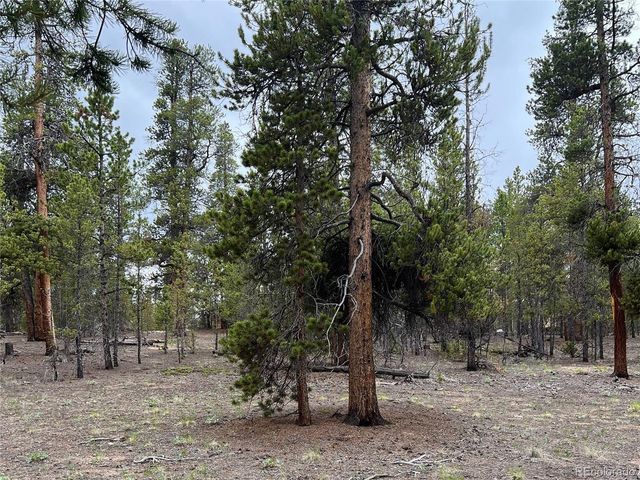 284 Fir Dr, Twin Lakes, CO 80461