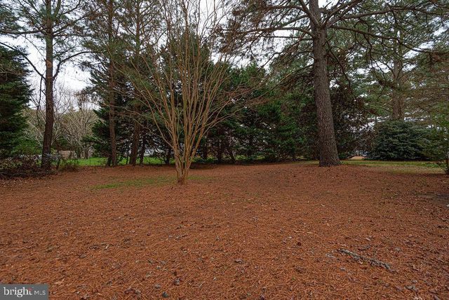 10641 PINEY ISLAND DR, Bishopville, MD 21813