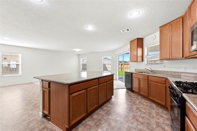 18919 Remington Springs Drive, Houston, TX 77073