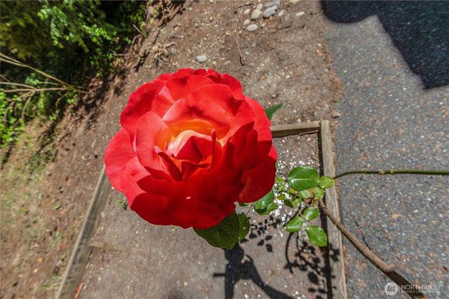 2925 87th Ave Ct E, Edgewood, WA 98371