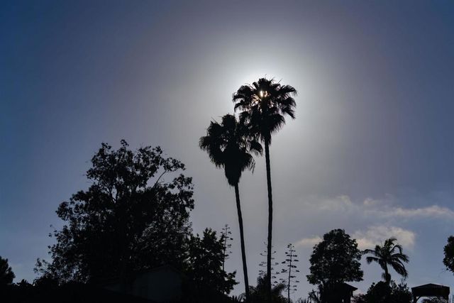 3876 Mount Albertine Avenue, San Diego, CA 92111