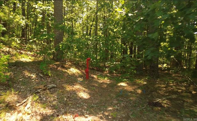 169 Brooke Ln, Bee Branch, AR 72013