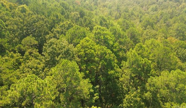 169 Brooke Ln, Bee Branch, AR 72013