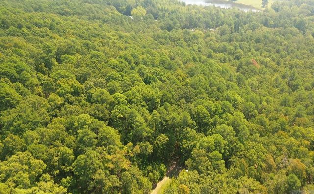 169 Brooke Ln, Bee Branch, AR 72013