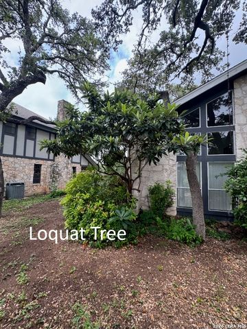 1739 Royal Crescent, San Antonio, TX 78231