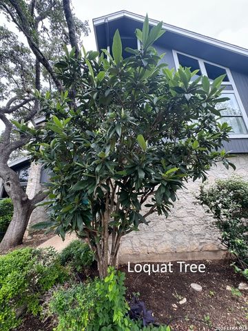 1739 Royal Crescent, San Antonio, TX 78231