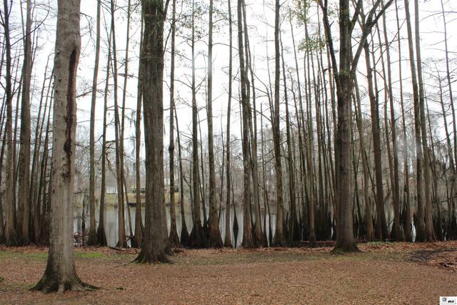 1413 FINKS HIDEAWAY ROAD, Monroe, LA 71203