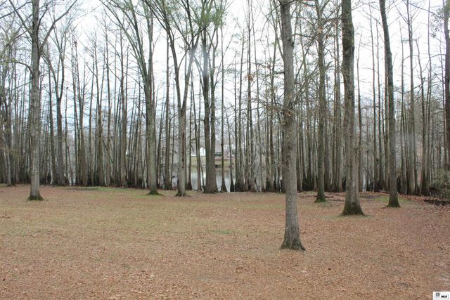 1413 FINKS HIDEAWAY ROAD, Monroe, LA 71203