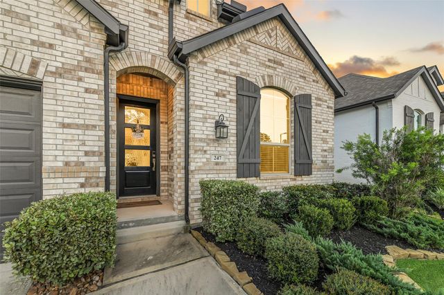 247 Sky Top Drive, Montgomery, TX 77316