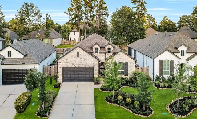 247 Sky Top Drive, Montgomery, TX 77316