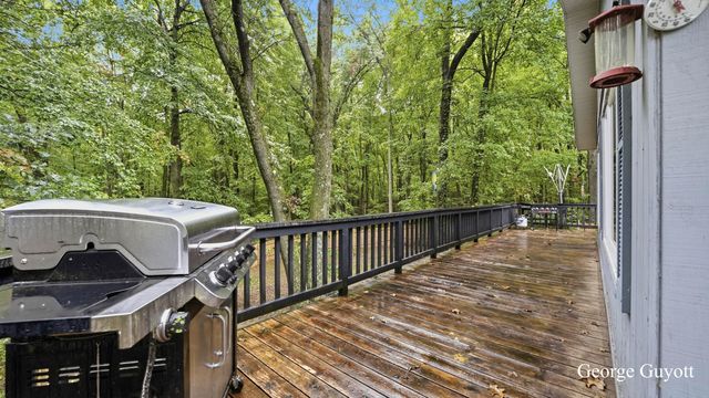 10691 W Dickerson Lake Road W, Montcalm Twp, MI 49326