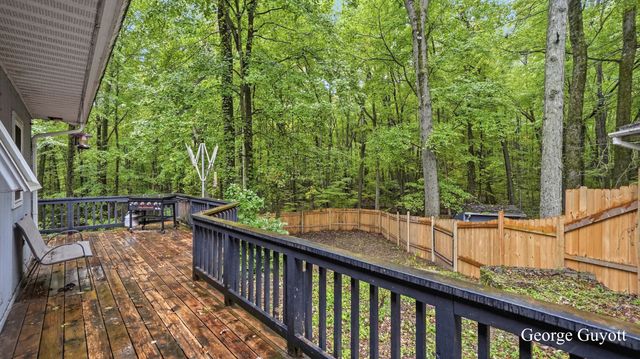 10691 W Dickerson Lake Road W, Montcalm Twp, MI 49326