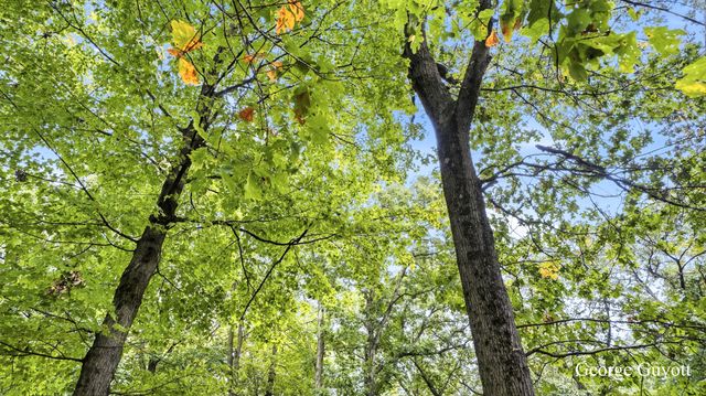 10691 W Dickerson Lake Road W, Montcalm Twp, MI 49326