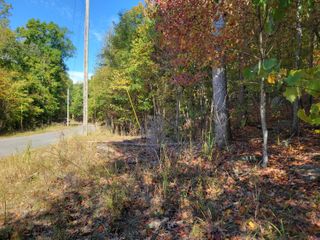 14 Raulstontown Road 14, South Pittsburg, TN 37380