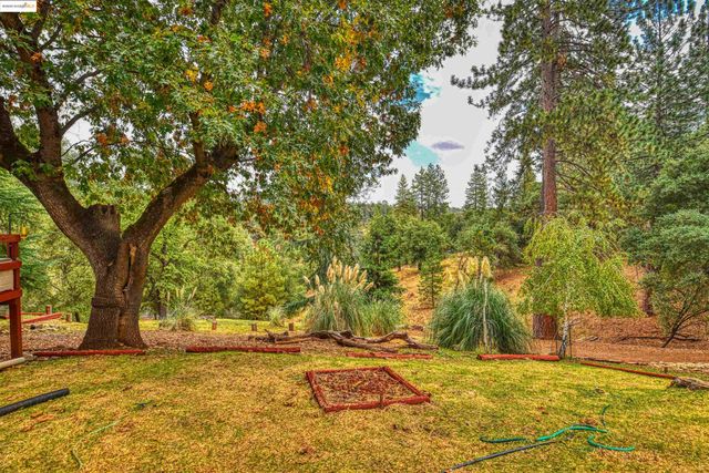 20538 Nob Hill Cr, Groveland, CA 95321
