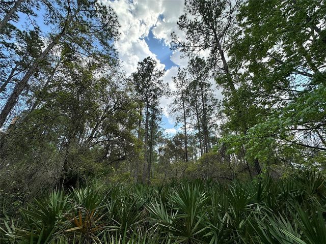 TBD SE US HIGHWAY 19, Inglis, FL 34449