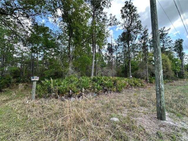 TBD SE US HIGHWAY 19, Inglis, FL 34449
