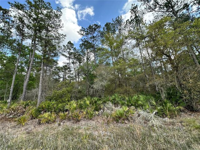 TBD SE US HIGHWAY 19, Inglis, FL 34449