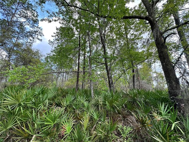 TBD SE US HIGHWAY 19, Inglis, FL 34449