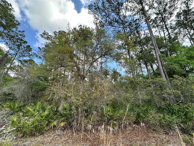 TBD SE US HIGHWAY 19, Inglis, FL 34449