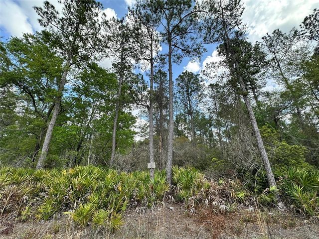 TBD SE US HIGHWAY 19, Inglis, FL 34449