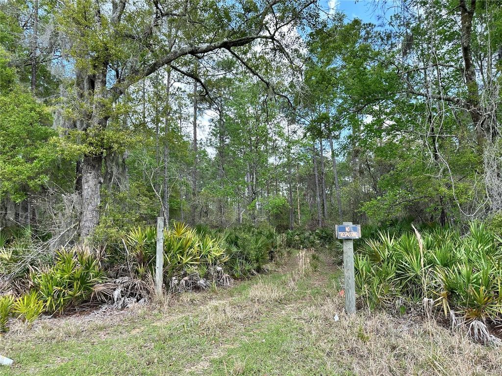 TBD SE US HIGHWAY 19, Inglis, FL 34449