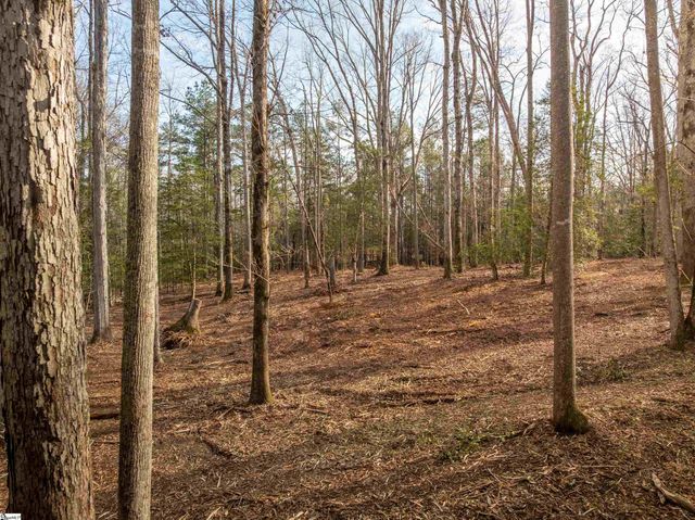 119 Arnold Road, Pelzer, SC 29669