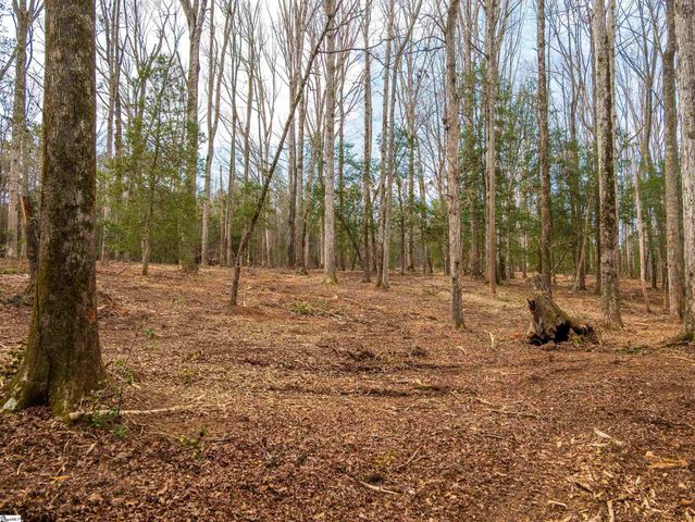 119 Arnold Road, Pelzer, SC 29669