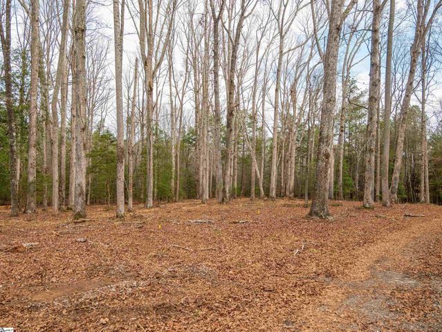 119 Arnold Road, Pelzer, SC 29669