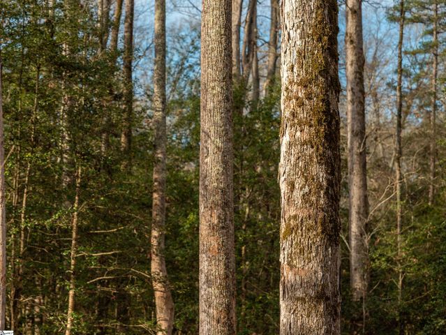 119 Arnold Road, Pelzer, SC 29669