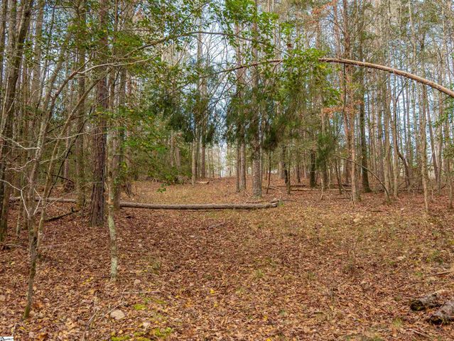 119 Arnold Road, Pelzer, SC 29669