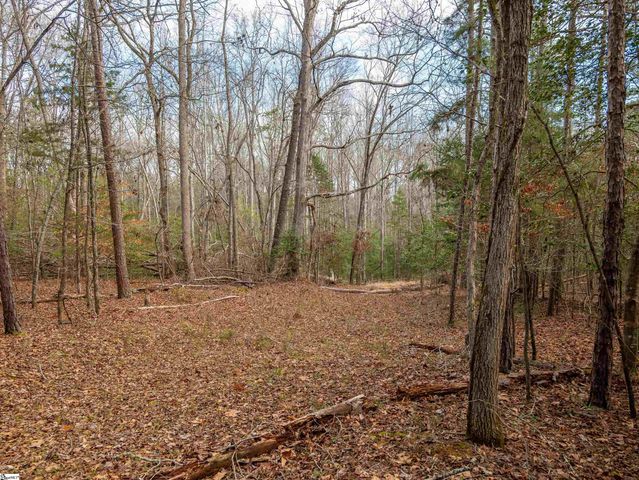 119 Arnold Road, Pelzer, SC 29669