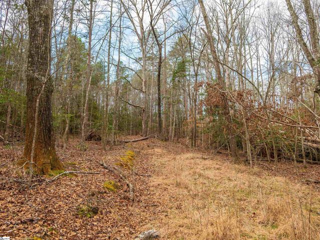 119 Arnold Road, Pelzer, SC 29669