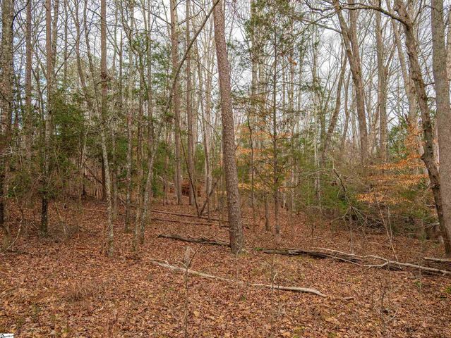 119 Arnold Road, Pelzer, SC 29669