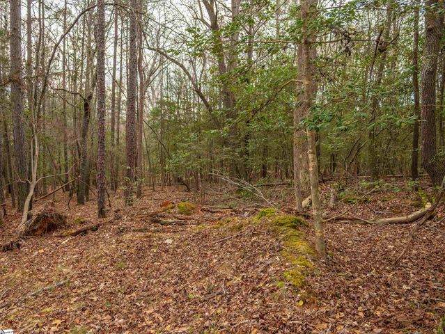 119 Arnold Road, Pelzer, SC 29669