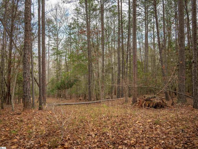 119 Arnold Road, Pelzer, SC 29669