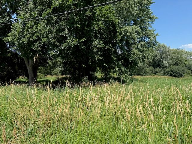 Lot 12 Tower Drive, Holiday Hills, IL 60051