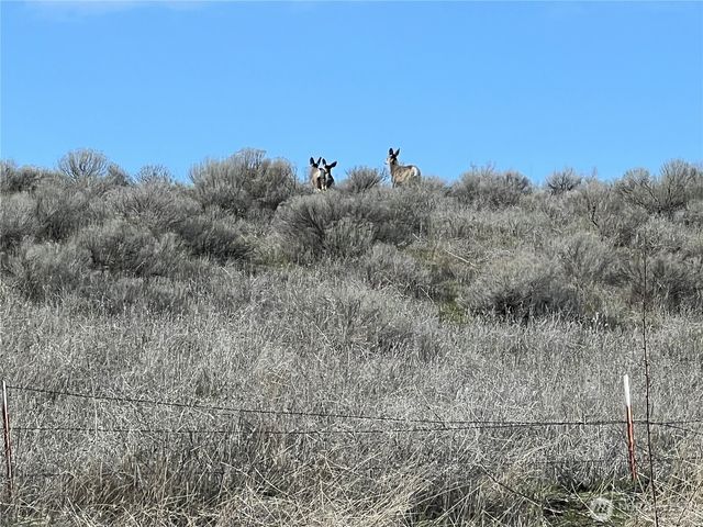 1411 Kellogg Hallow Road, Dayton, WA 99328