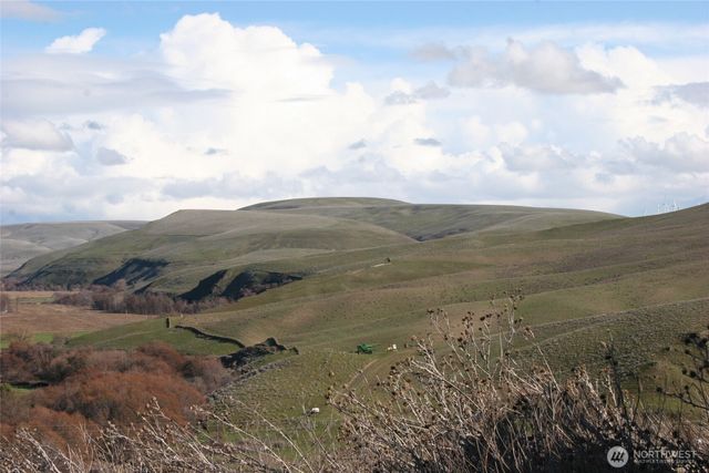 1411 Kellogg Hallow Road, Dayton, WA 99328