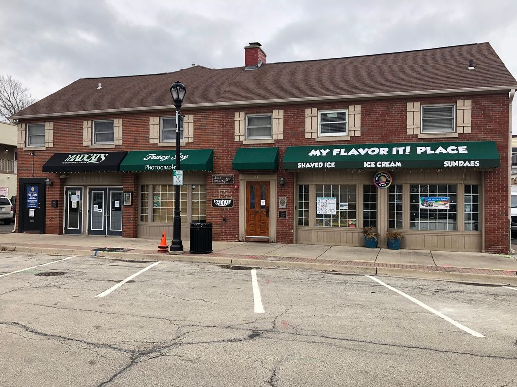 117 W Slade Street, Palatine, IL 60067