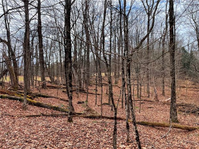 1017 Humphrey Road, Hamilton, NY 13346