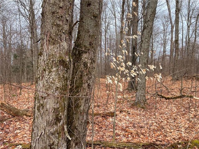 1017 Humphrey Road, Hamilton, NY 13346