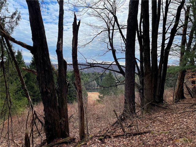 1017 Humphrey Road, Hamilton, NY 13346